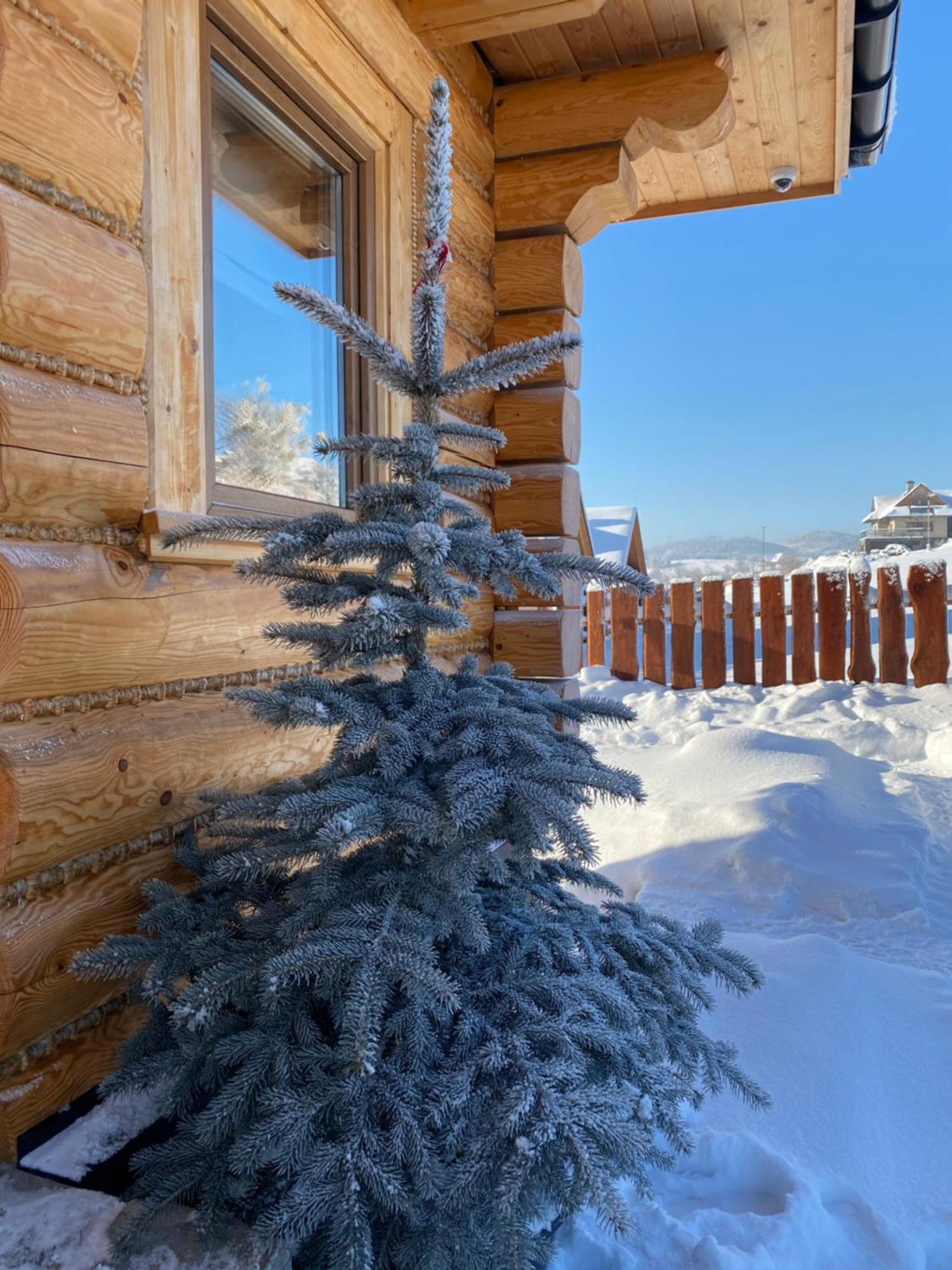 Zloty Gron Log Houses & Apartments Istebna Exterior foto